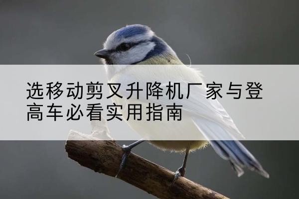 林西电动升降机厂家-选移动剪叉升降机厂家与登高车必看实用指南