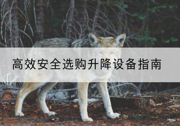 林西升降货梯厂家推荐-*安全选购升降设备指南