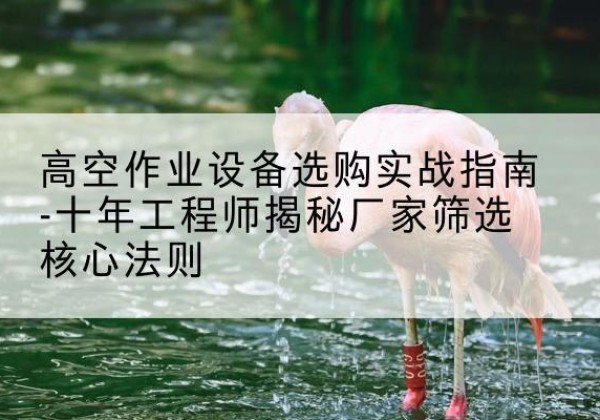 林西剪叉式升降机厂家-高空作业设备选购实战指南-十年工程师揭秘厂家筛选核心法则